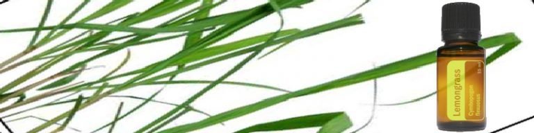 Illatos-Egeszseg-fejlec-Citronella